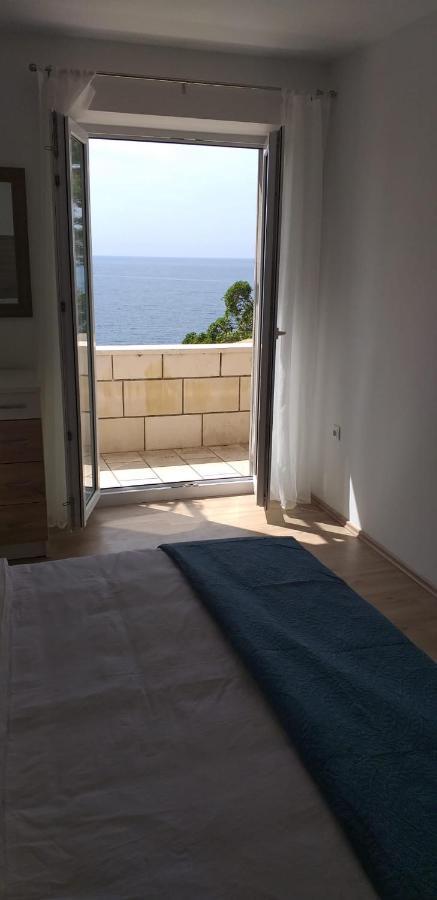 Apartament & Katarina